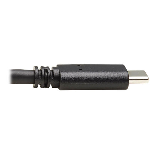 Tripp Lite U428-20N-G2 USB cable