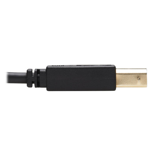 Tripp Lite P782-006-HA KVM cable