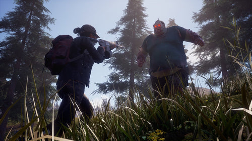 Microsoft State of Decay 2