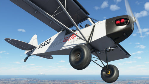 Microsoft Flight Simulator: Deluxe