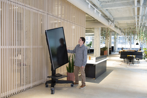 Ergotron Neo-Flex Mobile MediaCenter VHD