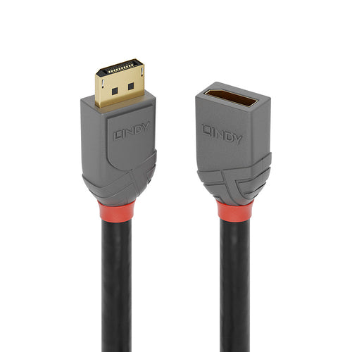 Lindy 36498 DisplayPort cable