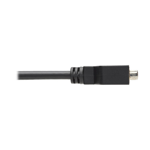 DisplayPort auf DVI-I Adapterkabel 15,24cm Tripp Lite 1920x1200