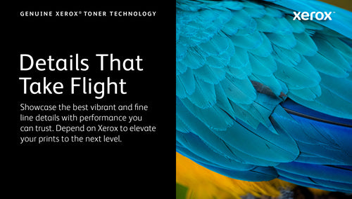 Xerox 006R04821 Genuine Magenta Toner Cartridge for C320/C325 Printers - 1800 Pages