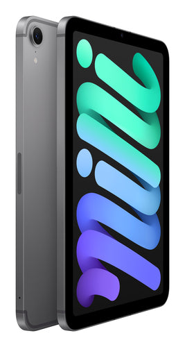 Apple iPad mini