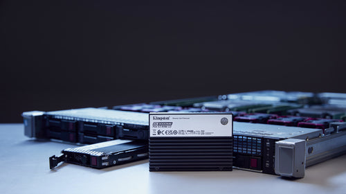 Kingston Technology DC3000ME 7,68TB U.2 NVMe SSD – PCIe 5.0 Enterprise-Speicher
