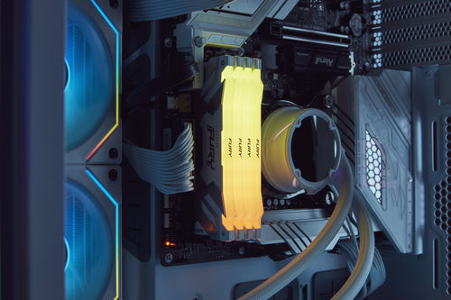 Kingston Technology FURY Renegade RGB memory module