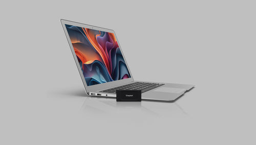 Kingston Technology XS1000