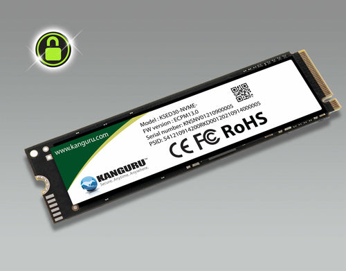 1TB iStorage Kanguru Defender SED30 NVMe M.2 SSD 7200MB/s AES-Hardware-Verschlüsselung