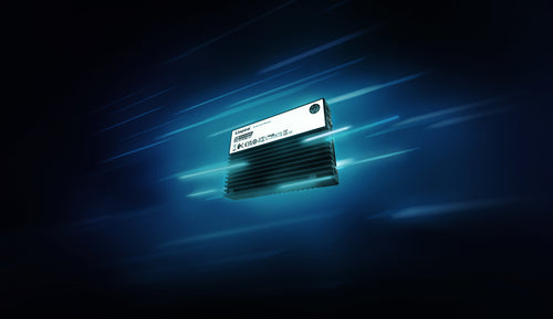 Kingston Technology DC3000ME 7,68TB U.2 NVMe SSD – PCIe 5.0 Enterprise-Speicher