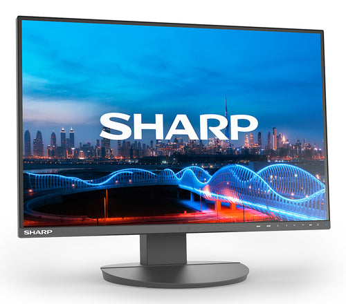 Sharp MultiSync EA241W computer monitor
