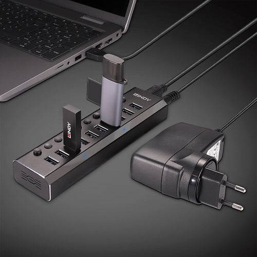 Lindy 43370 interface hub