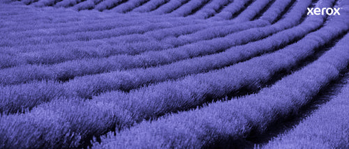 Xerox 106R03501 toner cartridge