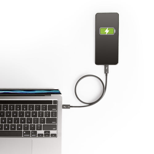 StarTech Thunderbolt 4 Cable 1.6ft - 40Gbps Transfer, 100W Power Delivery, 4K/8K Video