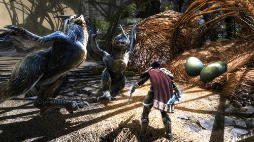 Microsoft Kingdoms of Amalur: Re-Reckoning