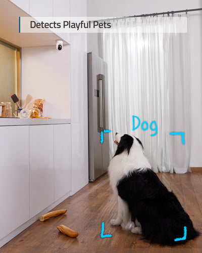 Eufy E220