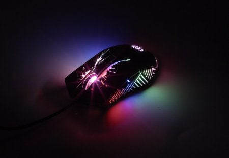Manhattan 190220 mouse