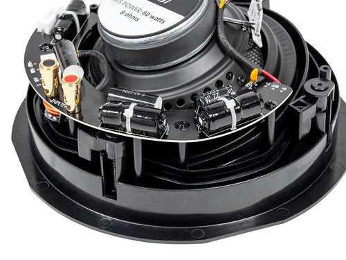 Monoprice Alpha