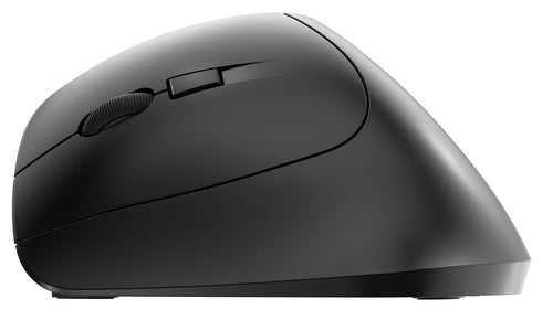CHERRY MW 4500 mouse