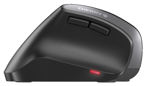 CHERRY MW 4500 mouse