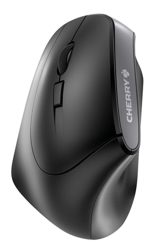 CHERRY MW 4500 mouse