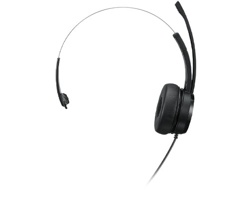 Lenovo 100 Mono