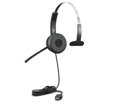 Lenovo 100 Mono