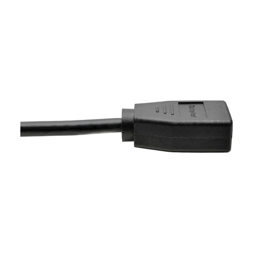 Tripp Lite P130-06N-DP-V2 video cable adapter