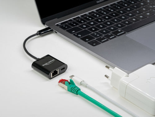 DeLOCK 66644 laptop dock/port replicator