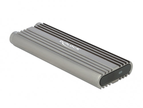 DeLOCK 42001 storage drive enclosure