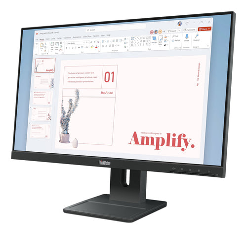 Lenovo ThinkVision E24-40 computer monitor