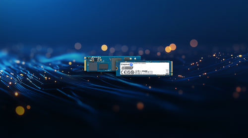Kingston Technology DC2000B