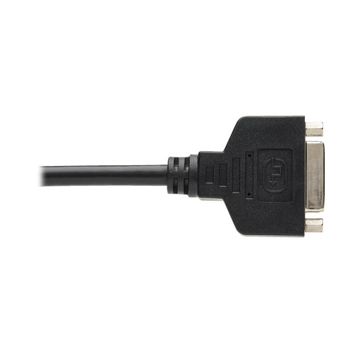 DisplayPort auf DVI-I Adapterkabel 15,24cm Tripp Lite 1920x1200