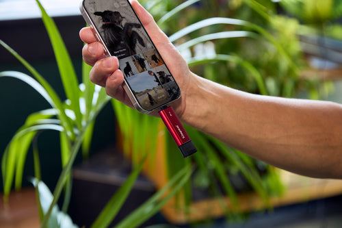 Kingston Technology Dual Portable