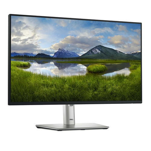 DELL Pro Plus P2425H Computermonitor