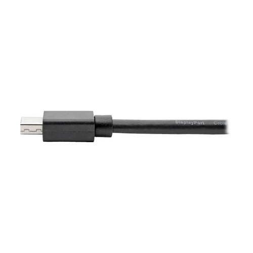 Tripp Lite P139-06N-DP4K6B DisplayPort cable