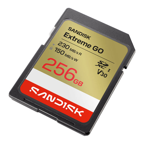 SanDisk Extreme GO