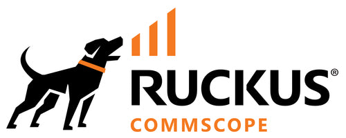 RUCKUS Networks WatchDog Remote Support, 3Y