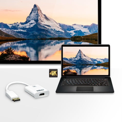 ATEN VC986 Videokabeladapter – DisplayPort auf HDMI, Stecker auf Buchse