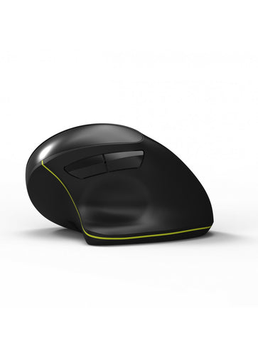Port Designs 900706-BT mouse