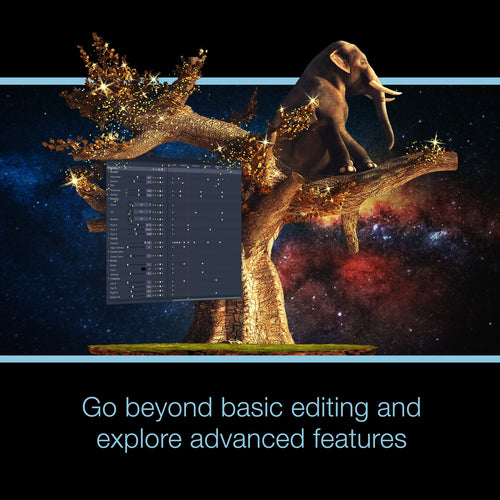 Pinnacle Studio 25 Standard Video Editor ESD für Windows 10