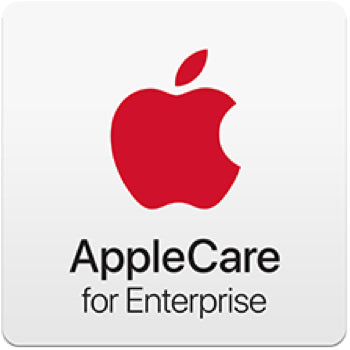 Apple ACE iPad Mini 6Th Gen T2 Ami 24M