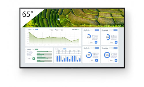 Sony FW-65BZ30L Signage Display