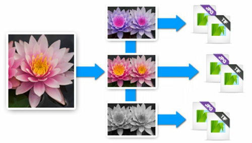 Graphic Editor Corel AfterShot Pro 3 ESD English Japanese German Full Windows 10