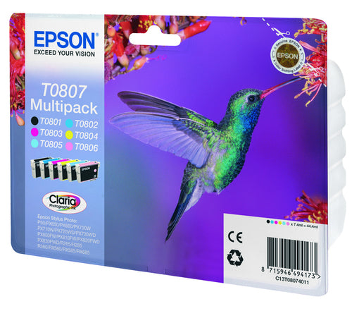Epson Hummingbird T0807 ink cartridge