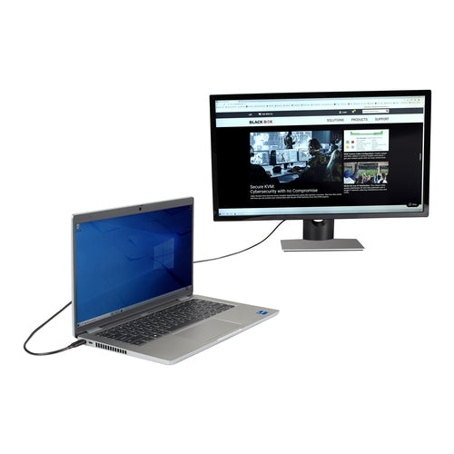 Black Box VA-USBC31-DVID-006 video cable adapter