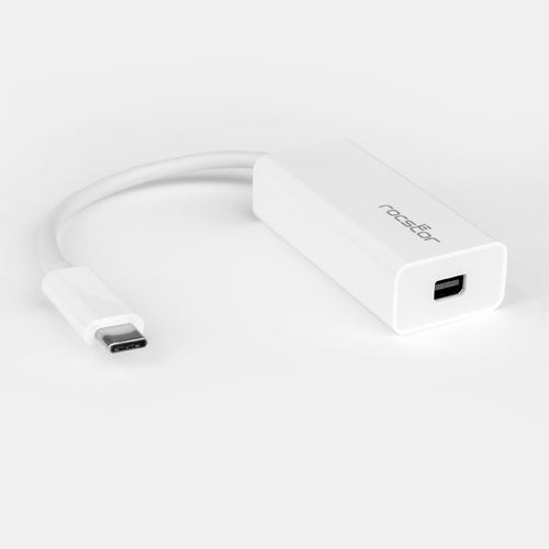 Rocstor Y10A241-W1 DisplayPort cable