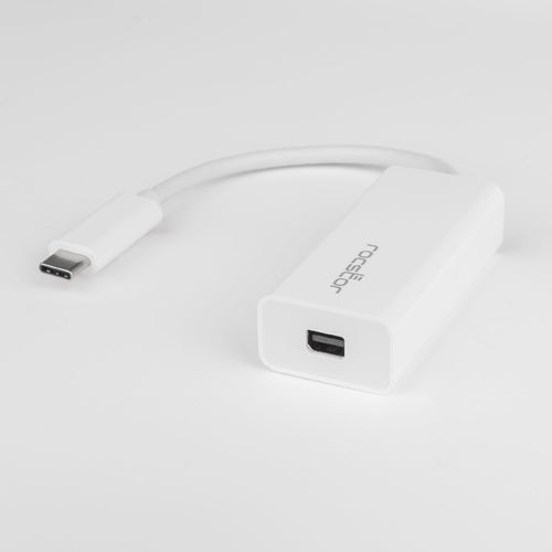Rocstor Y10A241-W1 DisplayPort cable