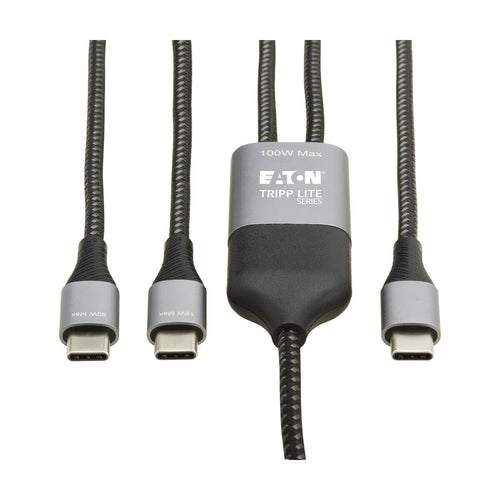 Tripp Lite U420P-2X6-100W USB cable
