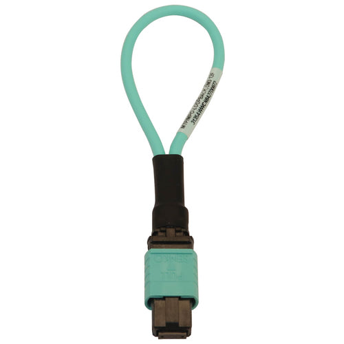 Tripp Lite N844B-LOOP-12F InfiniBand/fibre optic cable